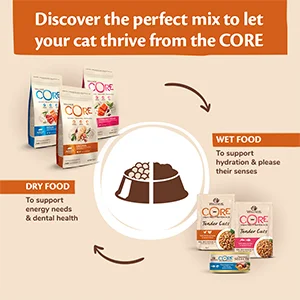 Wellness Core Cat Original Tacchino e Pollo crocchette - Foto 3 | AlanDog