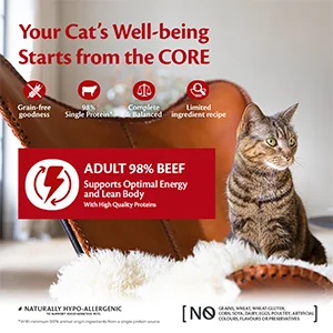 wellness-core-cat-pate-98-manzo-scatolette-3 Wellness Core Cat Paté 98% Manzo Scatolette - Foto 3 | AlanDog