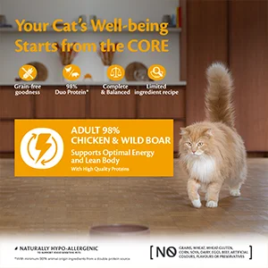 Wellness Core Cat Paté 98% Pollo e Cinghiale Scatolette - Foto 3 | AlanDog