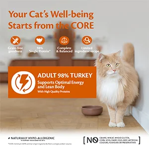 Wellness Core Cat Paté 98% Tacchino Scatolette - Foto 3 | AlanDog