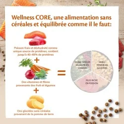 Wellness Core Cat Sterilised Salmone crocchette - Foto 5 | AlanDog