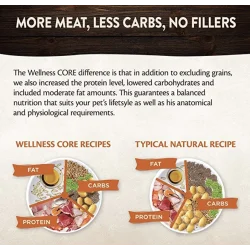 Wellness Core Cat Sterilised Salmone crocchette - Foto 7 | AlanDog