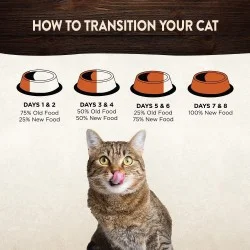 Wellness Core Cat Sterilised Salmone crocchette - Foto 9 | AlanDog