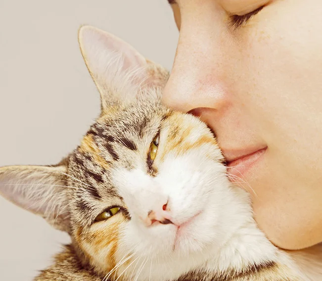 Scopri il Segreto per un Gatto più Felice e Sano 3 wellness core gatto imm articolo