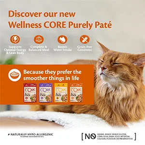 Wellness Core Gatto Purely Paté Adult Pollo con Tacchino Bustine Umido - Foto 2 | AlanDog