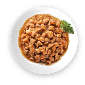 Wellness Core Gatto Tender Cuts Pollo con Fegatini Bustine Umido - Foto 1 | AlanDog