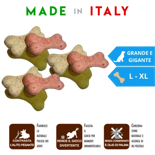 Biscotti Multibisco Large Adult Cane Sfusi - PiùCane | AlanDog