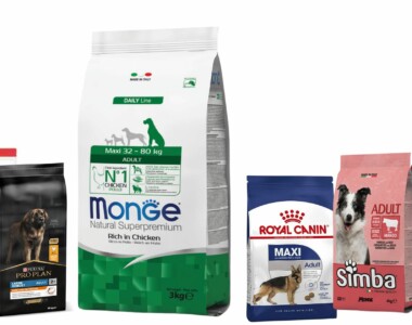 banner recensione monge adult pollo