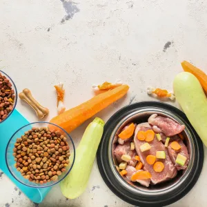 Consultazione Nutrizionale Cane&Gatto