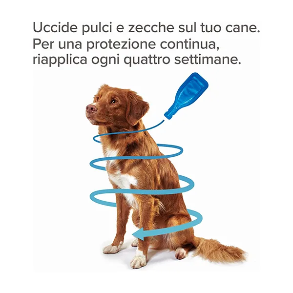 Beaphar Fiprotec Cane Piccolo 2-10kg - Foto 3 | AlanDog
