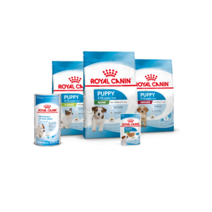 RC ProductCombo 001 1