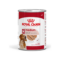 Royal Canin SHN Medium Ageing Loaf Lattina Umido 410gr - Foto 1 | AlanDog
