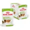 Royal Canin SHN X-small Adult Bustine Umido in Salsa | AlanDog