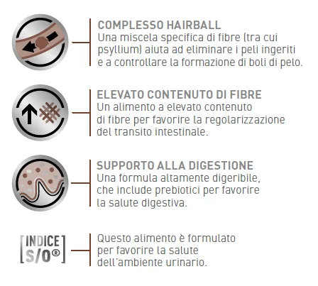 Royal Canin VHN Gatto Gastro Intestinal Hairball 3 Royal Canin VHN Gatto Gastro Intestinal Hairball