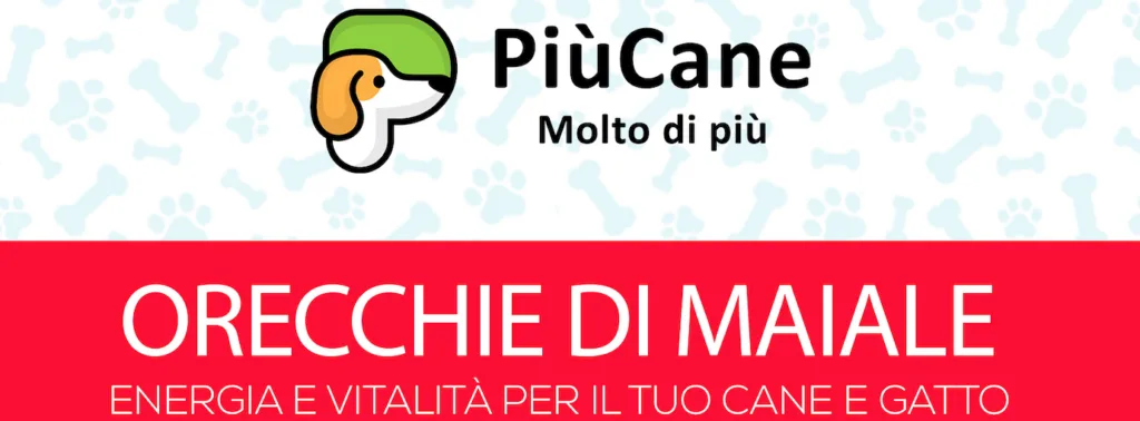 PiùCane Orecchie di Maiale