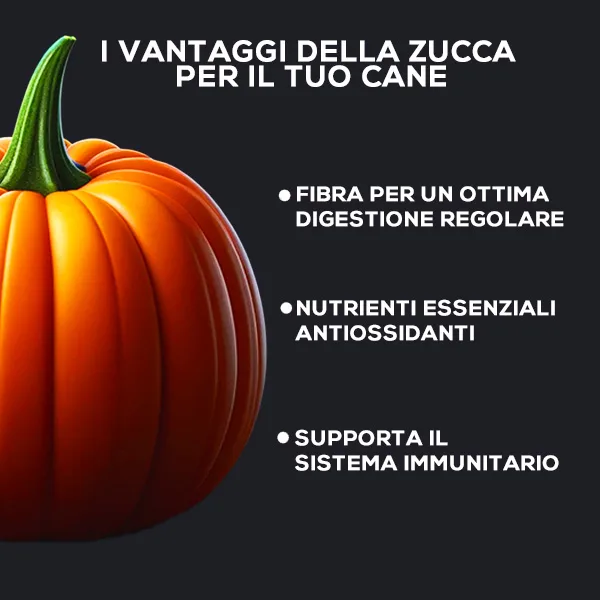 Infografica con i vantaggi della zucca per il cane