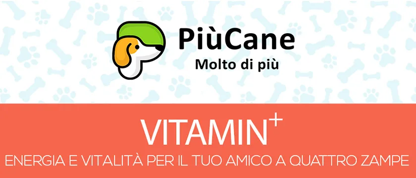 PiùCane VITAMIN+
