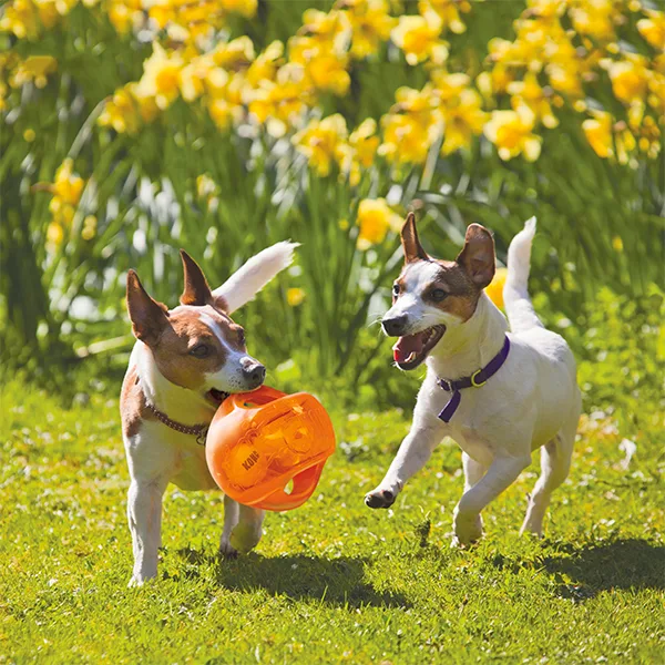 Kong Cane Jumbler Ball - Foto 3 | AlanDog