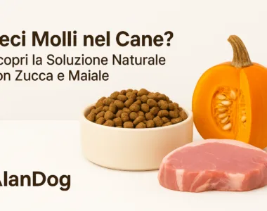 Crocchette PiùCane zucca e maiale – ideale per feci molli cane