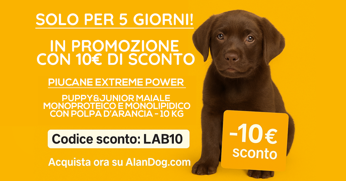 Alimentazione cuccioli Labrador: guida alla dieta perfetta 1 Promo crocchette Puppy Maiale e Arancia PiùCane