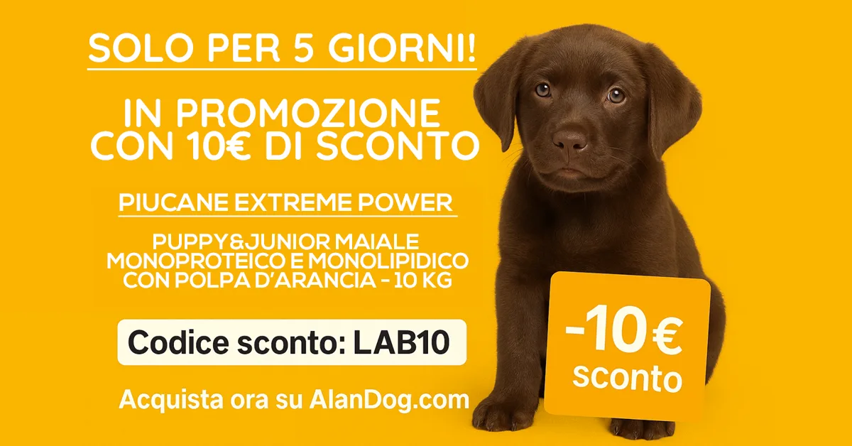 Promo crocchette Puppy Maiale e Arancia PiùCane