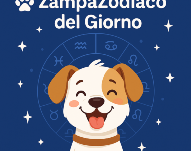 MOMENTO DELLO ZAMPAZODIACO