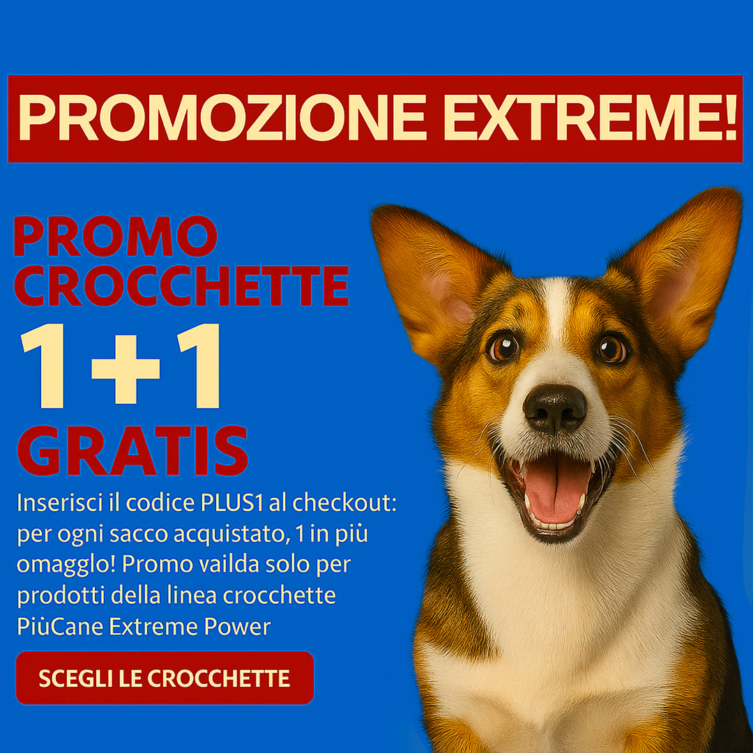 Crocchette naturali e toelettatura cani: guida completa e promozioni su AlanDog 1 Promo Crocchette 1+1 Gratis