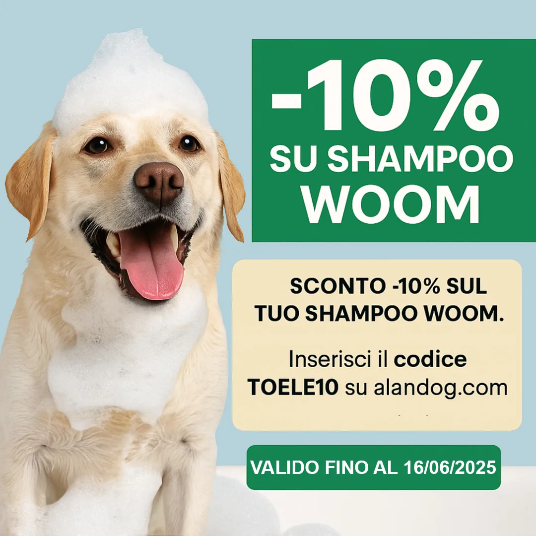 Promo Shampoo -10% TOELE10