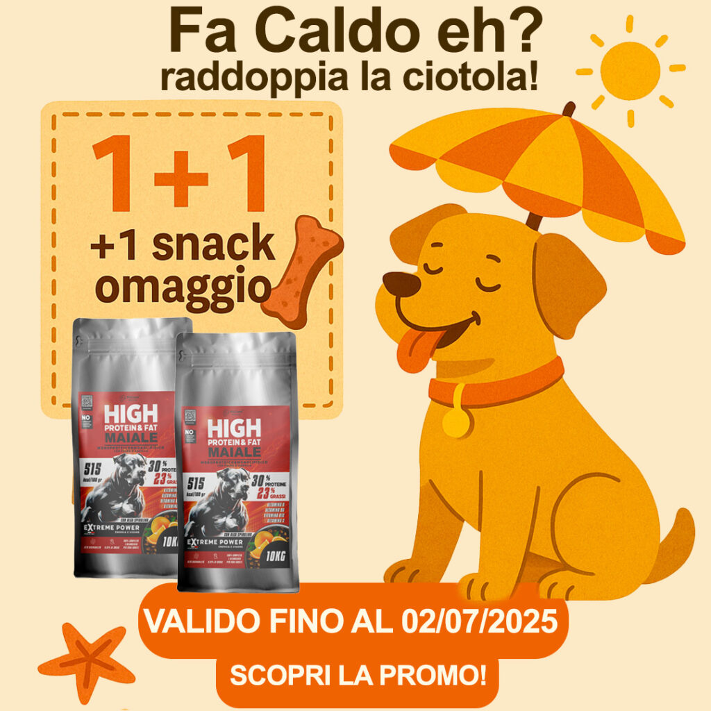 Fa caldo, eh? Promo 1+1 PiùCane Extreme Power + snack omaggio 1 promo11estate 1