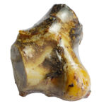 PiùCane Masticativi Ginocchio di Manzo - 14 cm