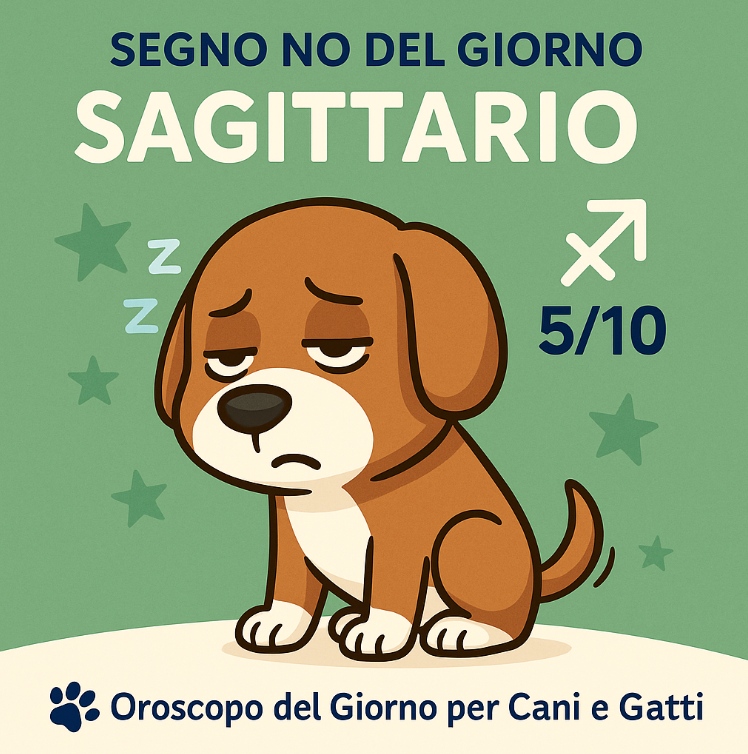 Momento Dello πΎ ZampaZodiaco del Giorno! 3 nosegno