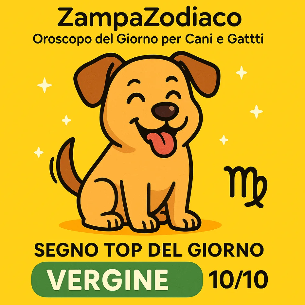 topvergine 1