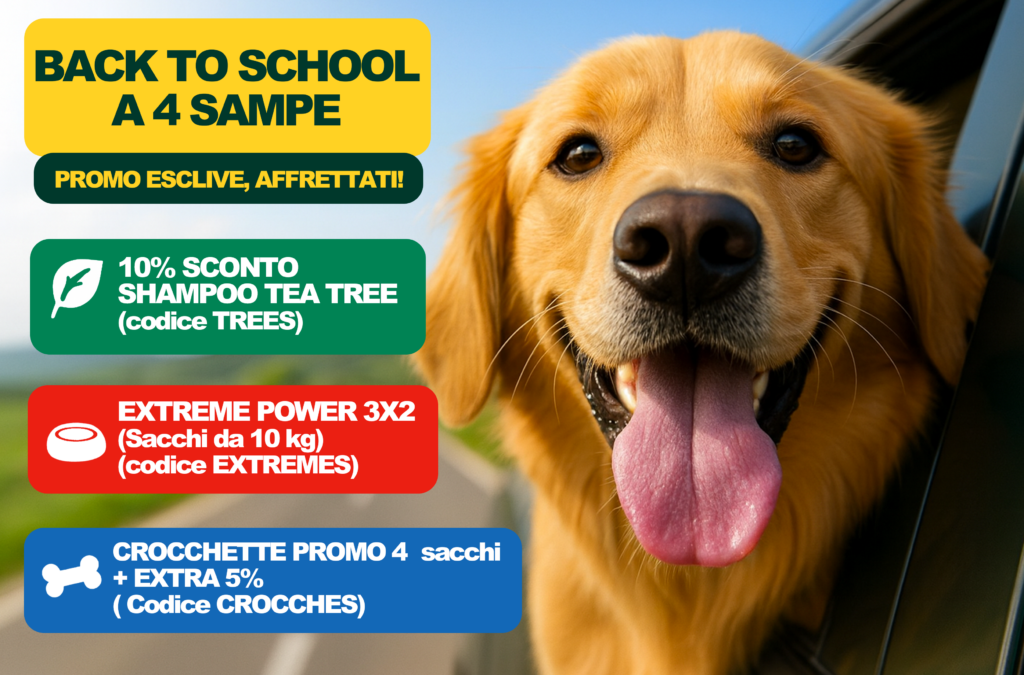Back to School Cane: Shampoo, Offerte 3x2 & Scorta Crocchette 1 PROMOBACK