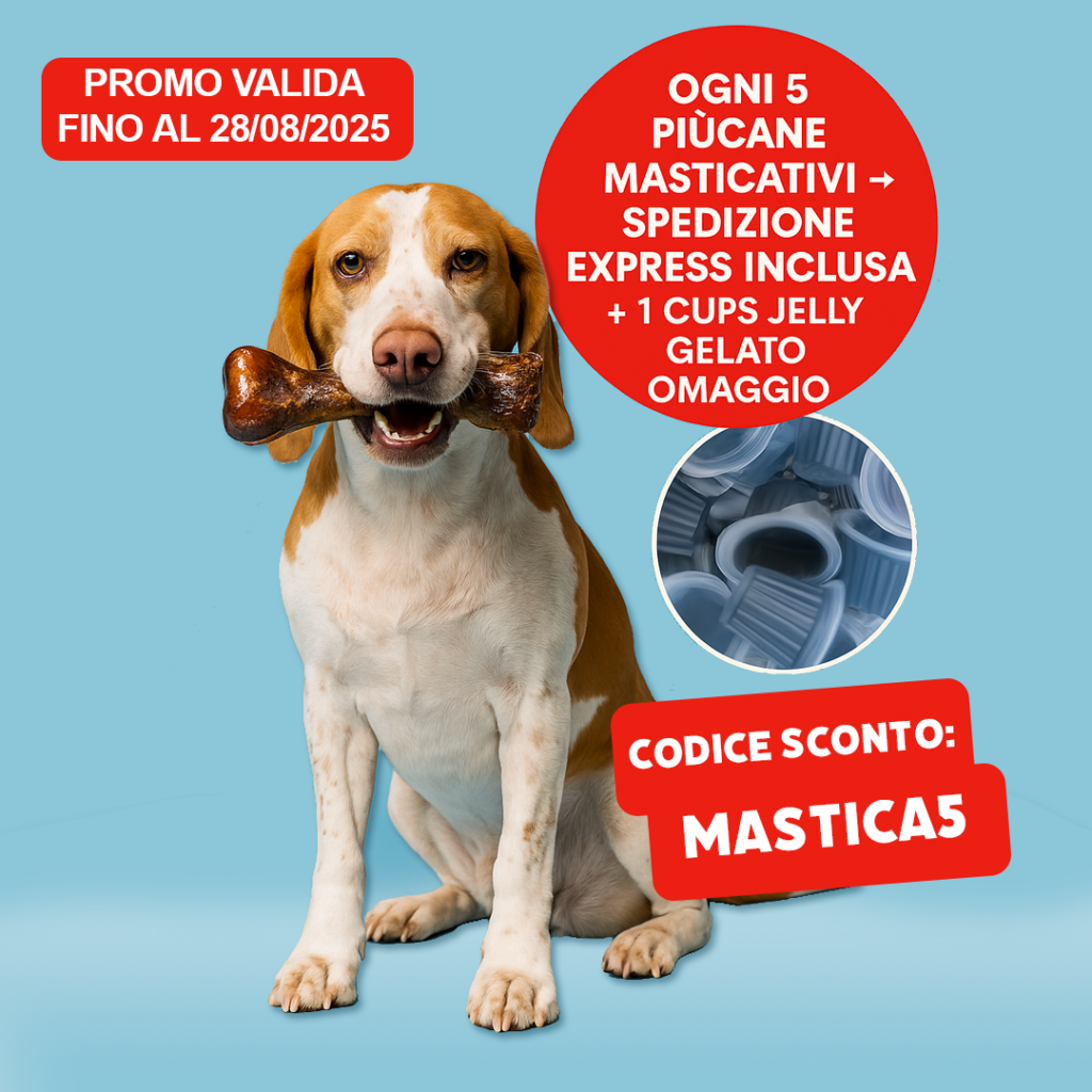 Promo PiùCane Masticativi | Ogni 5 pezzi → Spedizione Express + Jelly Gelato Omaggio 1 PROMOMASTICA2 1