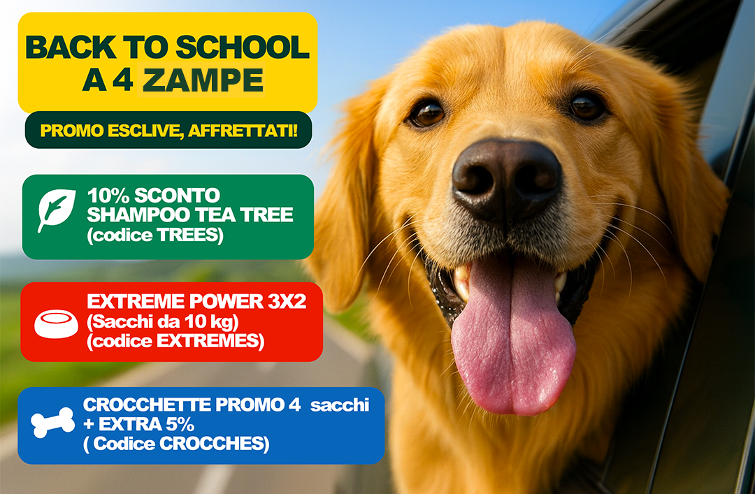 ZAMPE 1