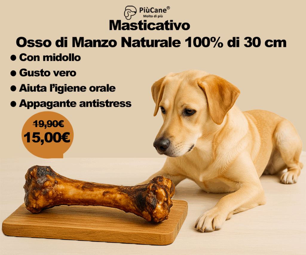PiùCane Masticativi Osso di Manzo Naturale 1 22