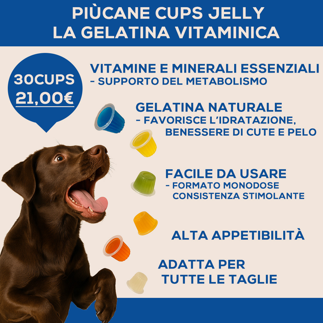PiùCane Cups Jelly – Integratore vitaminico in gelatina per cani 🐾💧 1 cupsdef 1