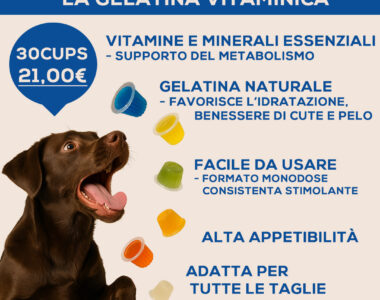 AlanDog - Il tuo Negozio per animali domestici 51 cupsdef