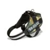 Julius k9 pettorina IDC Power Harnesses CAMOUFLAGE Tg. 1 | AlanDog