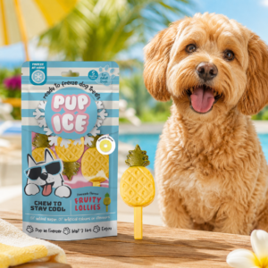 PUP ICE Fruity Lollies Ananas – Gelato per cani 3 Pezzi - immagine alternativa