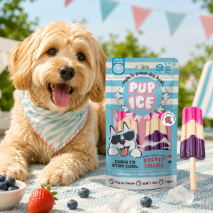 PUP ICE Rocket Lollies Fragola e Mirtilli – Gelato per cani (2 pezzi, 90 g) - immagine alternativa